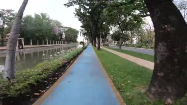 Piste Cyclable Dans Sport Ville — Video