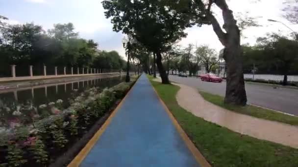 Radweg Stadtsport — Stockvideo