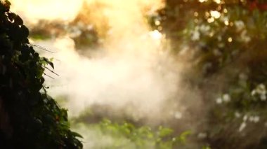 Doğada HD 1080 süp yavaş springerspay