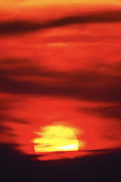 大太阳日落天空橙色天空红色太阳权利户外夏季自然景观回退 — 图库照片