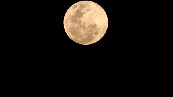 Super Luna Llena Feb 1962 Tailandia Naturaleza Backgound — Vídeo de stock