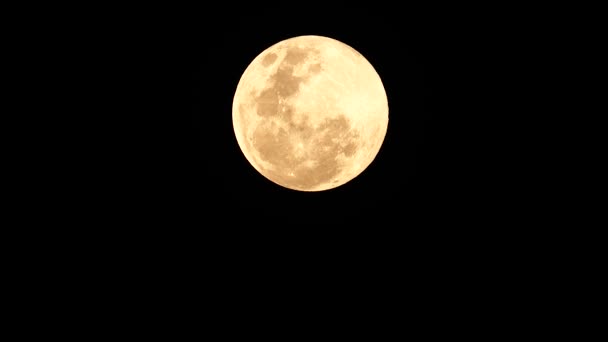 Super Luna Llena Feb 1962 Tailandia Naturaleza Backgound — Vídeo de stock