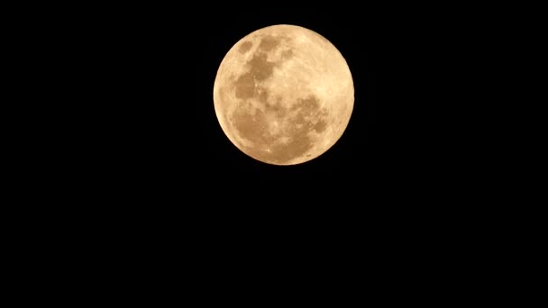 Super Luna Llena Feb 1962 Tailandia Naturaleza Backgound — Vídeos de Stock