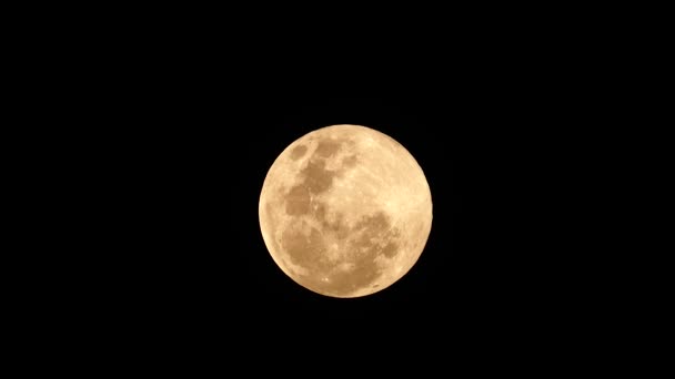 Super Full Moon Lutego 1962 Tajlandia Natura Ochrona — Wideo stockowe
