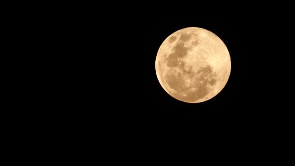 Super Full Moon Feb 2019 Thailand Nature Backgound — Stock Video