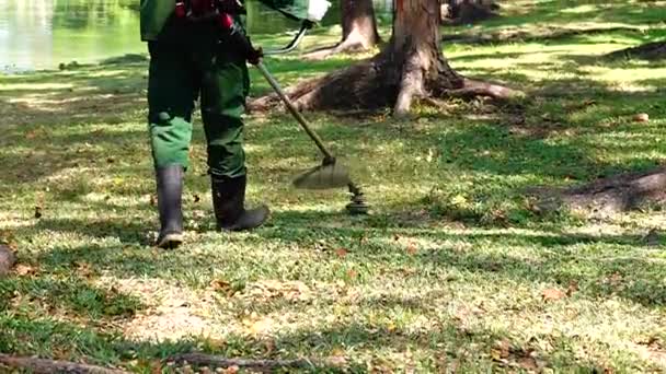 1080P Lawnmower 잔디를 나뭇잎 — 비디오