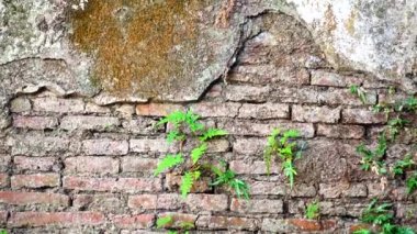 4k Grungy kentsel arka plan bir tuğla eski 150 yıldan fazla grungy doku gri beton duvar doku desenleri vintage backgound