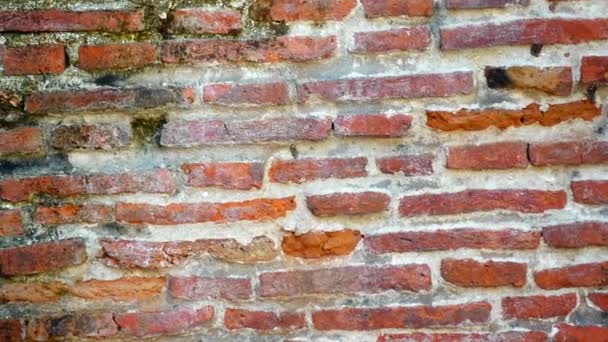 Grungy Urban Background Brick Old More 150 Years Grungy Texture — Stock Video