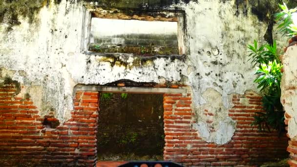 Grungy 城市背景的砖老 150 多年的粗糙纹理灰色混凝土树在窗口墙壁纹理图案 — 图库视频影像