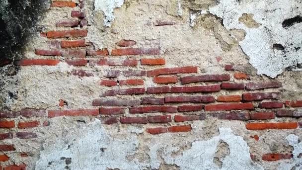 150年以上の古いレンガの4Kグランジ都市の背景は グランジテクスチャグレーコンクリート壁テクスチャパターンヴィンテージバックグーン — ストック動画