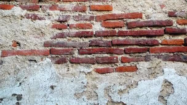 Grungy Urban Background Brick Old More 150 Years Grungy Texture — Stock Video