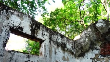 Orman parkında 4k Eski bina kalıntıları