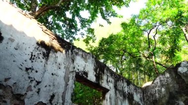 Orman parkında 4k Eski bina kalıntıları