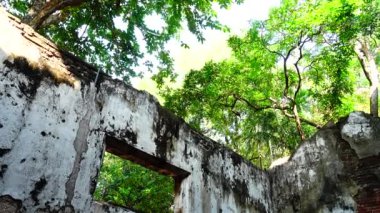 Orman parkında 4k Eski bina kalıntıları