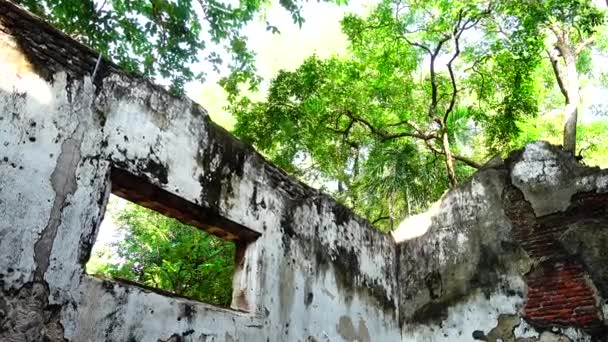 Ruines Vieux Bâtiments Dans Parc Forestier — Video