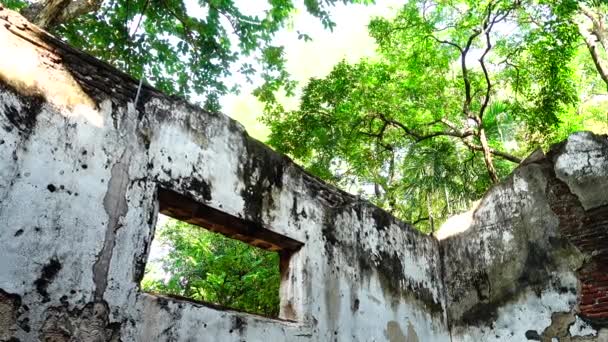 Ruines Vieux Bâtiments Dans Parc Forestier — Video