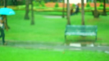 4k bulanıklık odak parkları insanlar yağmur şemsiye yağmur yağıyor ise yürüyüş ve egzersiz