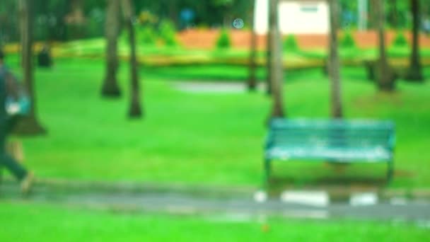 雨の傘が降っている間 人々が歩いたり運動したりしている4Kぼかしフォーカス公園 — ストック動画