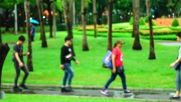 雨の傘が降っている間 人々が歩いたり運動したりしている4Kぼかしフォーカス公園 — ストック動画