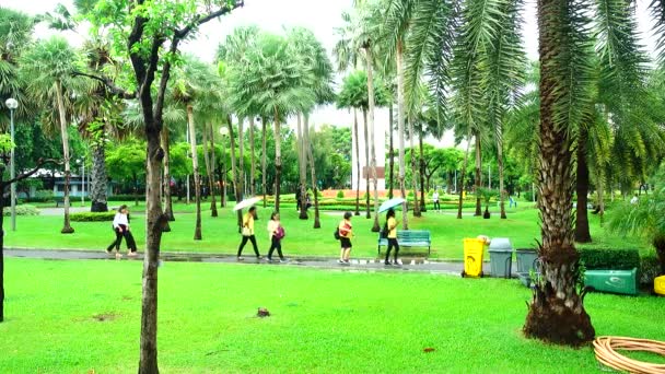 Desenfoque Parques Personas Están Caminando Haciendo Ejercicio Mientras Llueve Sombrillas — Vídeo de stock