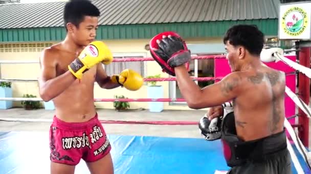 Bangkok Thailand Agosto 2019 Boxeadores Tailandeses Estão Praticando Com Treinador — Vídeo de Stock