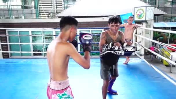 Bangkok Tailandia Agosto 2019 Los Boxeadores Tailandeses Practican Con Entrenador — Vídeos de Stock