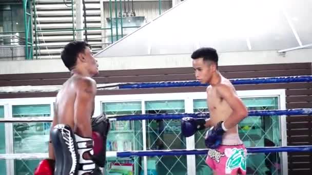 Bangkok Tailandia Agosto 2019 Los Boxeadores Tailandeses Practican Con Entrenador — Vídeos de Stock