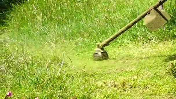 1080P Super Powolny Mężczyzna Pracownik Pracujący Koszenie Kosiarka Tyłu Jesień — Wideo stockowe