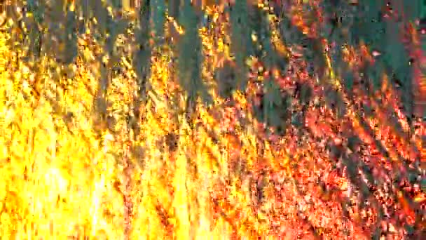 Сверхмедленный Водяной Занавес 1080 Освещение Закрывают Водный Фон — стоковое видео