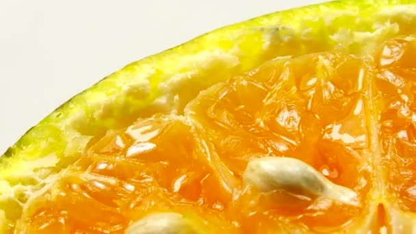 마르코가 오렌지 열매를 회전합니다 오렌지를 클로즈업합니다 자연의 — 비디오