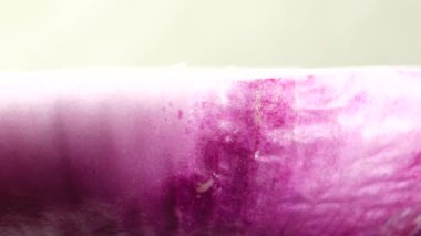 Dilimlenmiş kırmızı soğan halkaları 4K 'da dönüyor. Zengin vitaminli sebzeli sağlıklı gıda arka planının yakın görüntüsü