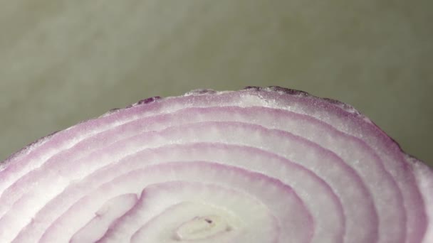 Sliced Red Onion Rings Rotating Closeup Top View Healthy Food — Stock Video