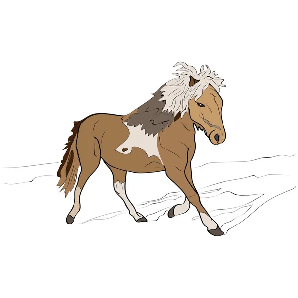 Állatok lova — Stock Vector
