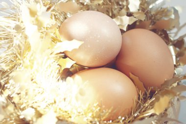 Paskalya arka plan ile kahverengi organik yumurta