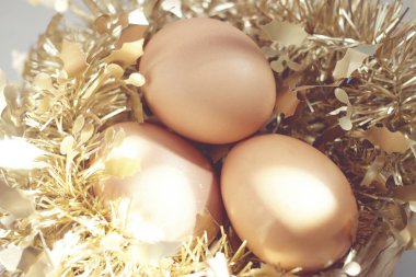 Paskalya arka plan ile kahverengi organik yumurta