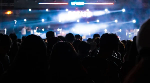 Grupo Personas Divirtiéndose Concierto Música —  Fotos de Stock