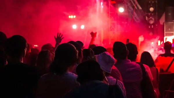 Grupo Personas Divirtiéndose Concierto Música —  Fotos de Stock