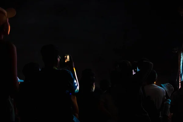 Grupo Personas Divirtiéndose Concierto Música — Foto de Stock