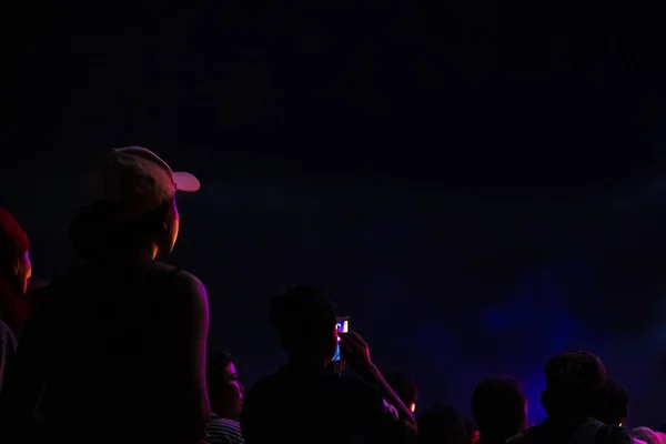 Grupo Personas Divirtiéndose Concierto Música — Foto de Stock