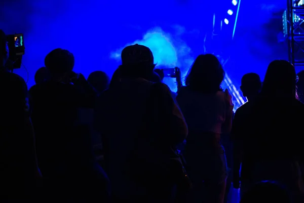 Gruppe Hat Spaß Bei Musikkonzert — Stockfoto