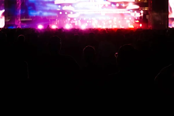 Grupo Personas Divirtiéndose Concierto Música — Foto de Stock