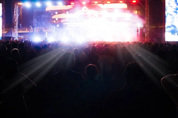 Grup müzik konserinde eğleniyor insan