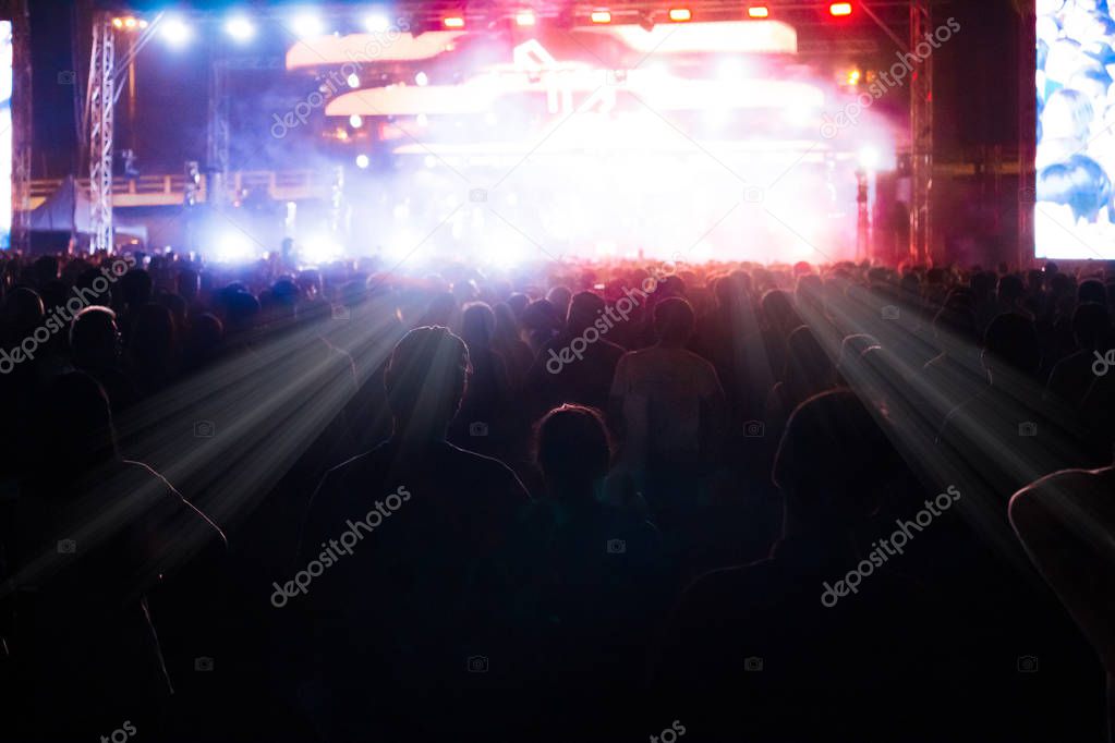 Group of people having fun at music concert