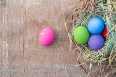 Renkli paskalya yumurtalarını kapat