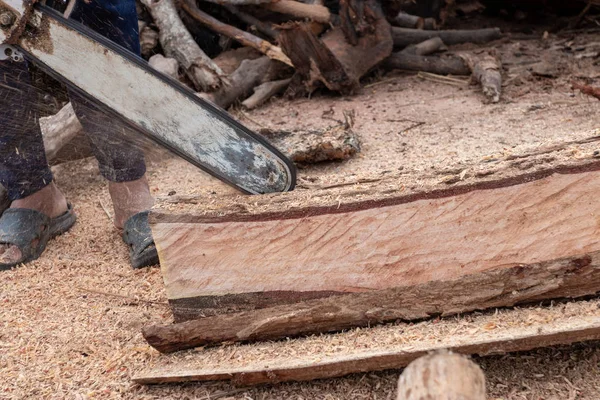 Trabalhador Trabalha Com Uma Motosserra Motosserra Perto Woodcutter Serra Árvore — Fotografia de Stock