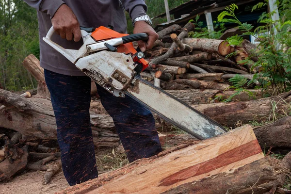 Trabalhador Trabalha Com Uma Motosserra Motosserra Perto Woodcutter Serra Árvore — Fotografia de Stock