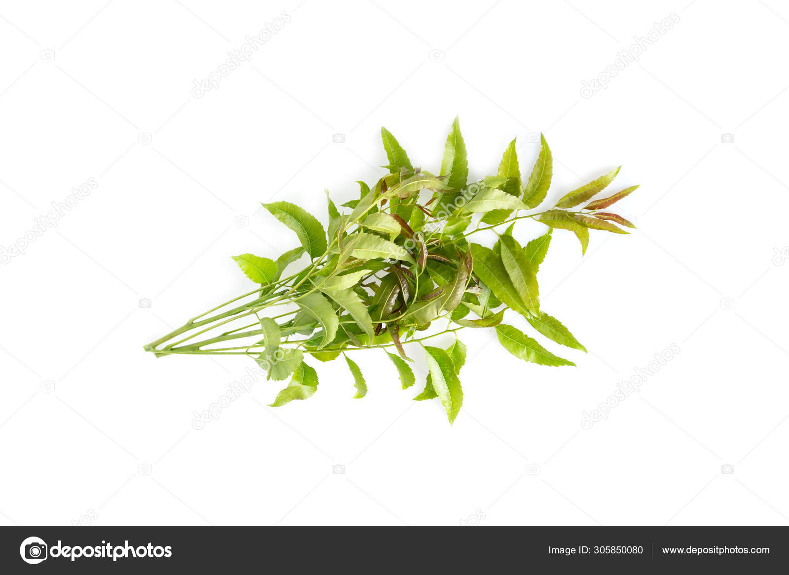 skin care ayurvedic medicine