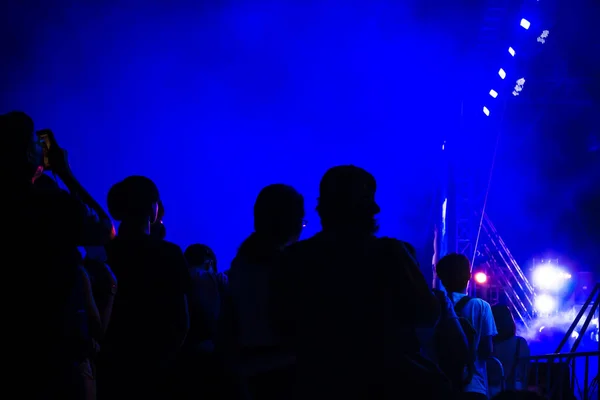 Menschen Beim Konzert Bunte Lichter Und Musikspaß — Stockfoto