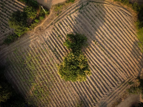 Сельские Фермы Аэрофотосъемка Сделанная Беспилотником Большинство Сельских Жителей Имеют Сельскохозяйственную — стоковое фото