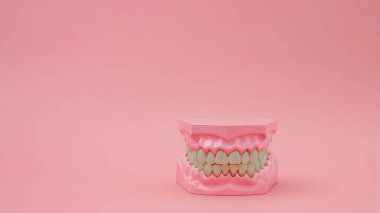 Pastel pembe arka planda takma dişler, diş kavramları.